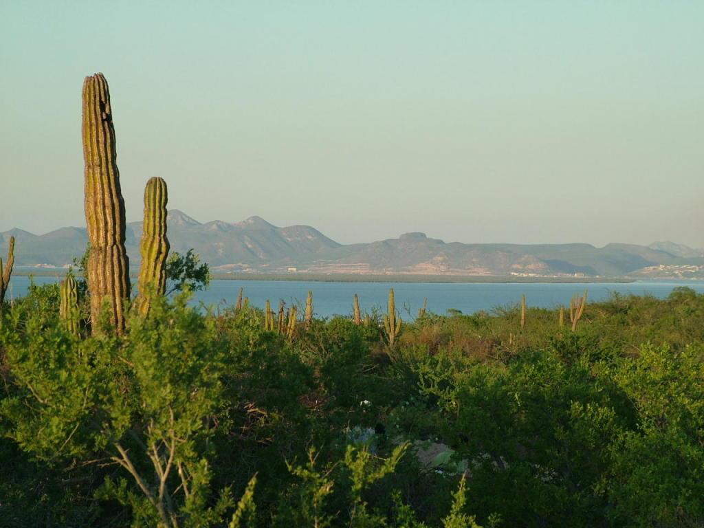 0886 Biznaga entre 20 y 21 Loma Vista lot La Paz BCS | MLS #24-5337 35 MLS #24-5337 image #0