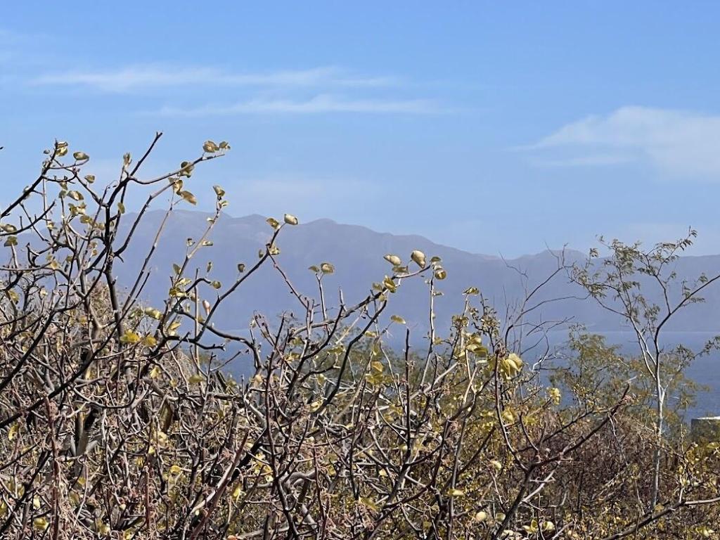1452 Calle Fondo Marino VISTA BONITA LOT La Paz BCS | MLS #25-335 39 MLS #25-335 image #0