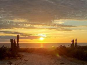 MLS #26-2607 image #0
