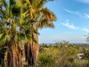 broker reciprocity