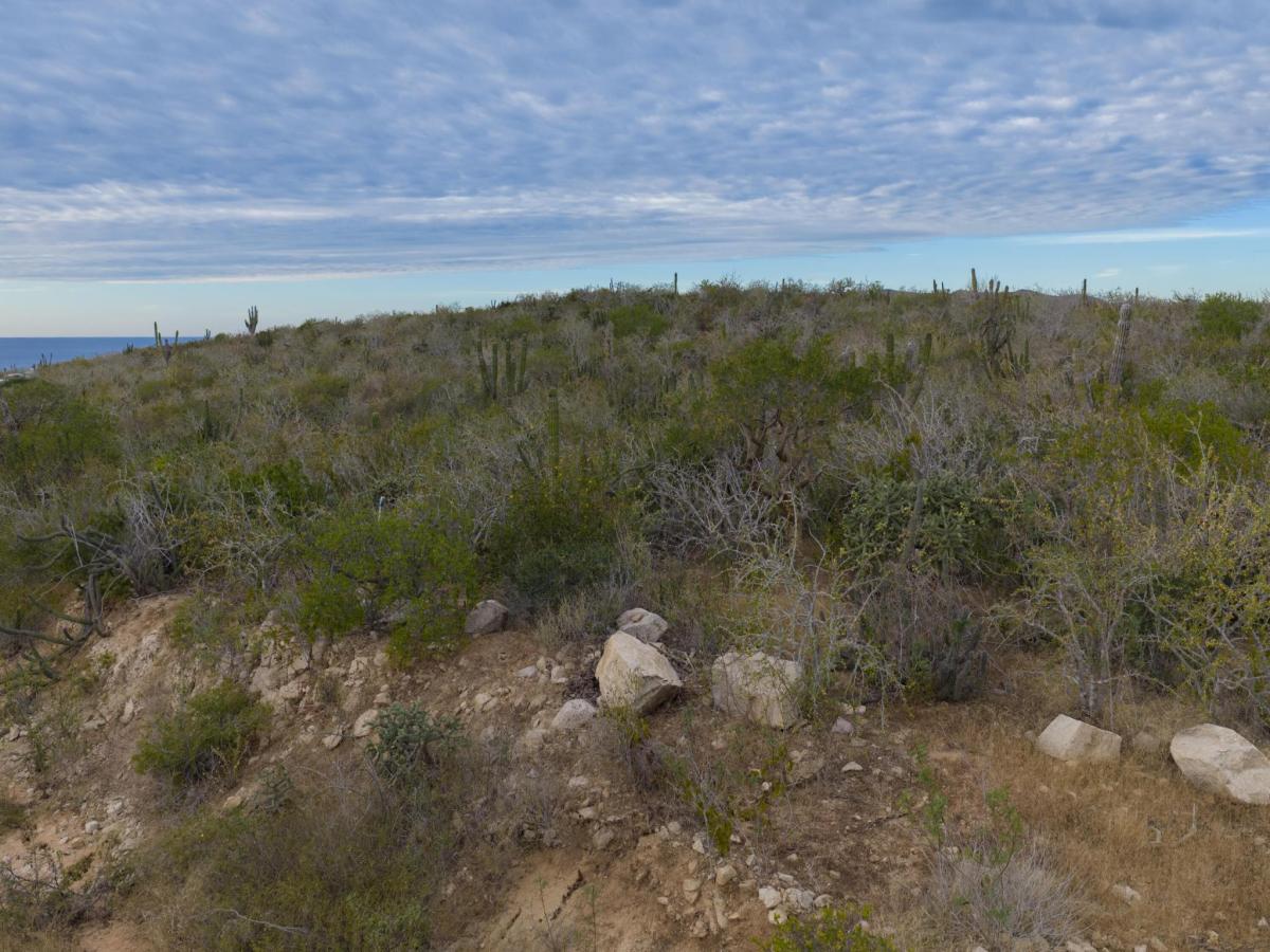 17 Cascabel Pacific BCS | MLS #26-473 35 MLS #26-473 image #0