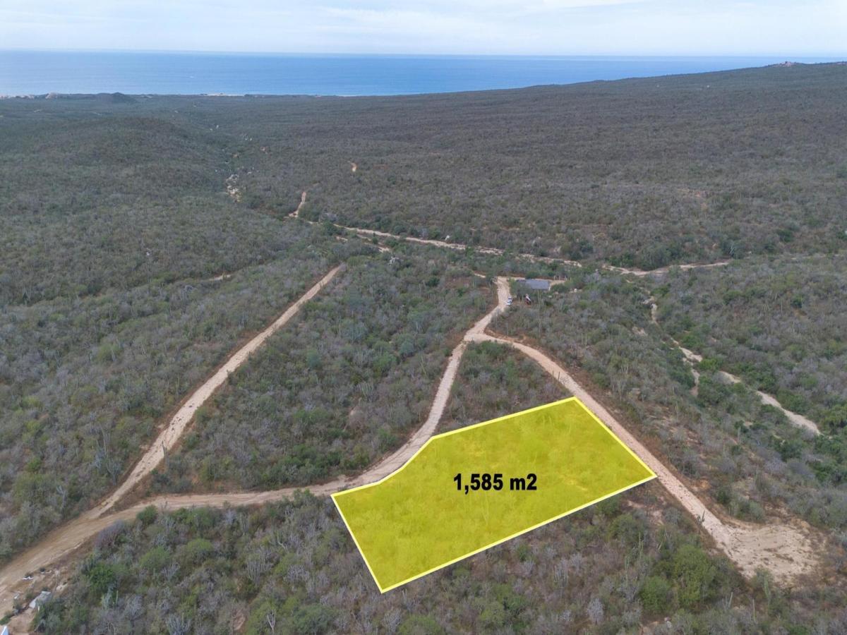 Santuario phase 2 Pacific BCS | MLS #26-774 39 MLS #26-774 image #0